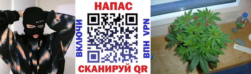 Наркотические вещества Волгодонск blacksprut рабочий сайт  Конопля 
