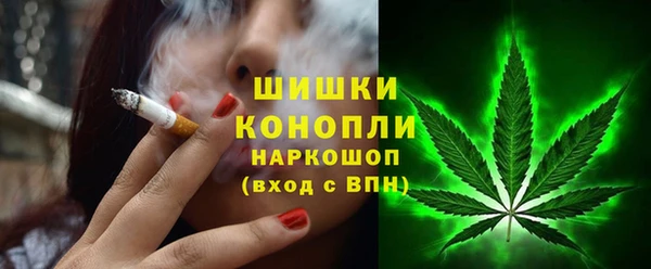 Альфа ПВП Верея