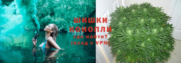 Альфа ПВП Верея