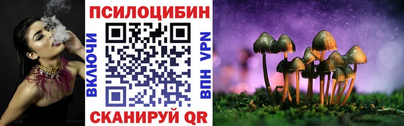 Псилоцибиновые грибы мицелий  Волгодонск 